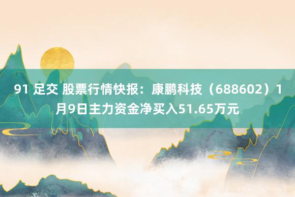 91 足交 股票行情快报：康鹏科技（688602）1月9日主力资金净买入51.65万元