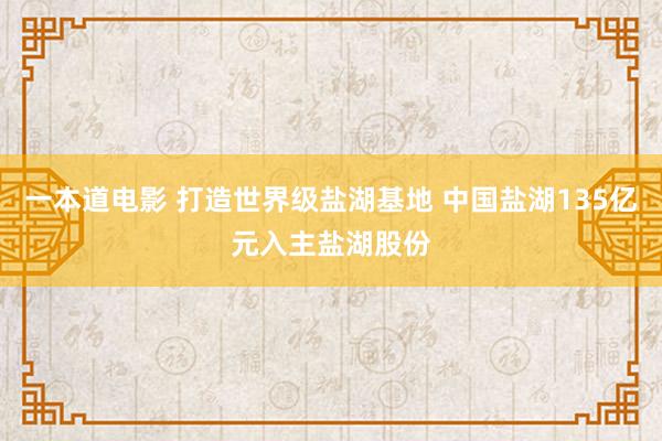 一本道电影 打造世界级盐湖基地 中国盐湖135亿元入主盐湖股份