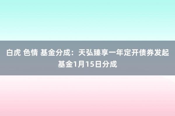 白虎 色情 基金分成：天弘臻享一年定开债券发起基金1月15日分成