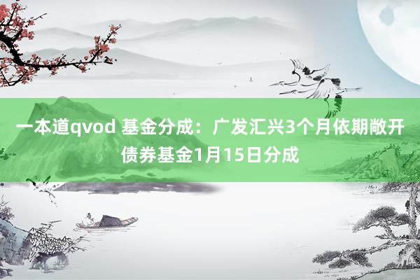 一本道qvod 基金分成：广发汇兴3个月依期敞开债券基金1月15日分成