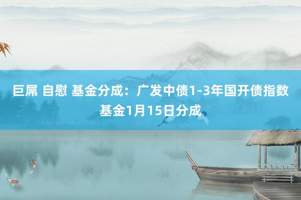 巨屌 自慰 基金分成：广发中债1-3年国开债指数基金1月15日分成