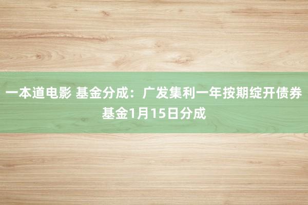 一本道电影 基金分成：广发集利一年按期绽开债券基金1月15日分成