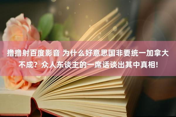 撸撸射百度影音 为什么好意思国非要统一加拿大不成？众人东谈主的一席话谈出其中真相!