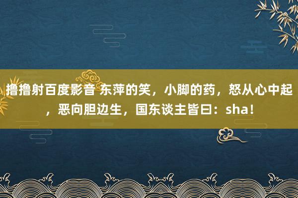 撸撸射百度影音 东萍的笑，小脚的药，怒从心中起，恶向胆边生，国东谈主皆曰：sha！