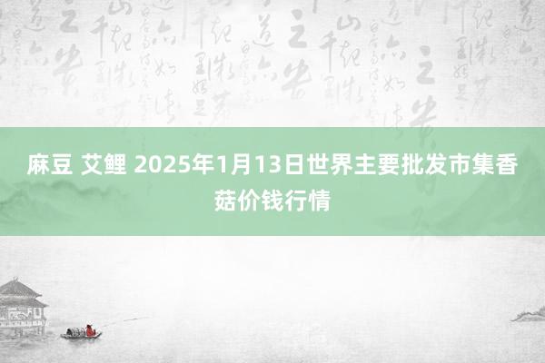 麻豆 艾鲤 2025年1月13日世界主要批发市集香菇价钱行情