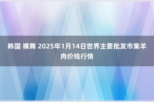 韩国 裸舞 2025年1月14日世界主要批发市集羊肉价钱行情