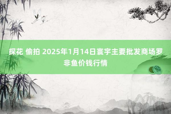 探花 偷拍 2025年1月14日寰宇主要批发商场罗非鱼价钱行情