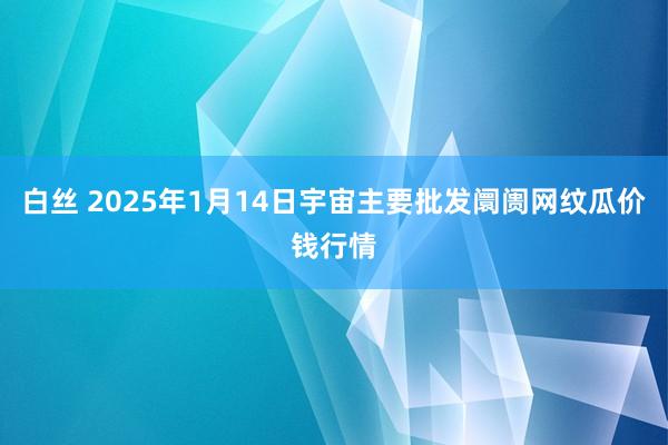 白丝 2025年1月14日宇宙主要批发阛阓网纹瓜价钱行情