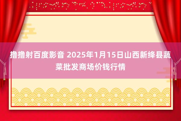 撸撸射百度影音 2025年1月15日山西新绛县蔬菜批发商场价钱行情