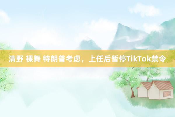 清野 裸舞 特朗普考虑，上任后暂停TikTok禁令