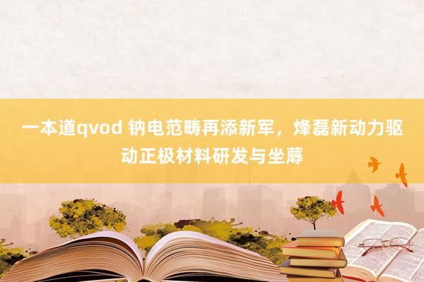 一本道qvod 钠电范畴再添新军，烽磊新动力驱动正极材料研发与坐蓐